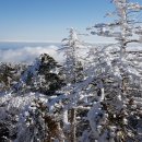 관음사 입구 다리 이미지