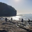 변산반도영농조합법인 이미지