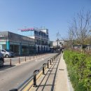 벤지애견 이미지