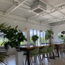 피오르(PIORR) | ☕🌿합천 삼가면 카페 한적한 시골마을 속 작은 힐링 공간, 피오르