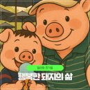 행복한삶건강한삶 | 일상의 조각들 _ 행복한 돼지의 삶