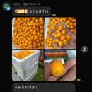 소문난 야채과일 이미지