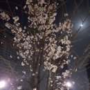 신음동네길 이미지