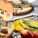 디비몬 네이버블로그