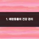 예동물병원 이미지