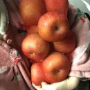 머먹을래 | 일상글 : 그대에게 나 반한 것 같아 말한 뒤에라도 후회하지 않을께요