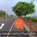 청림조경공사 이미지