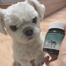 연은동물병원 이미지