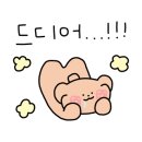 씨앤픽 이미지
