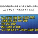 마스타카닥터 이미지