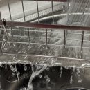 다팜MALL 이미지