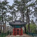 정운공순의비 이미지