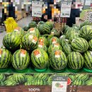 홈플러스 물가 안정 프로젝트 수박, 신비복숭아 맛 후기(후숙 후 맛 추가)
