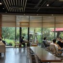 강동로-37 이미지