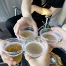 멤피스글램핑 이미지