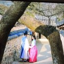 남사예담촌 이씨고가 이미지