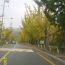 연수원길 이미지