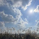 새별오름 | 11월 제주 여행 코스 추천, 새별오름 등산 후기 | 주차·소요시간·억새뷰 정보