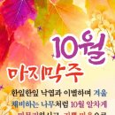 니체와 펄벅 이미지