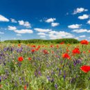 원피부과의원 이미지