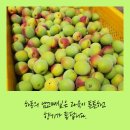 현옥농장 이미지