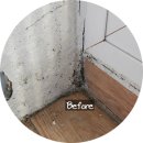 붓들로 | 안셈 붓으로 바르는 곰팡이제거제 써봤는데 후기한번보세요