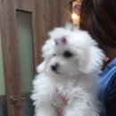 건국동물병원 이미지