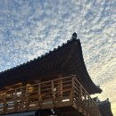 전통한옥펜션연안제A | 경주 단체 숙소 '놀러와 한옥 독채 풀빌라 펜션' 15인을 넘어, 17인까지 가능한 곳 :3
