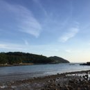 석양이 아름다운 형제섬 농원 이미지