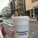 매머드익스프레스수서목화점