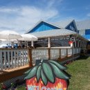 유픽(U-PICK) 이미지