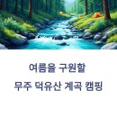 무주칠연캠핑장 | 무주 덕유산 계곡, 캠핑 마니아가 극찬한 명소