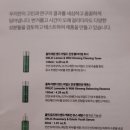 와일드진생 이미지