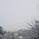 근흥면사무소 이미지