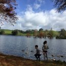 후레쉬마켓 이미지