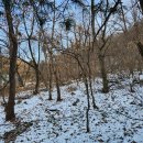 신원동-20 이미지