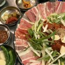삼성중공업(주)E식당 | 해운대 애견동반식당 | 하숙집 센텀본점 방문 후기