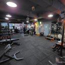 더 레오 핏 이미지