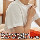 조이목재 | 에버조이 건식 반신욕기 찐 후기! 집에서 하는 반식욕 효과 사용법 정리
