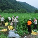 내장산쑥모시 영농조합법인 이미지