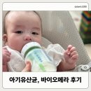 황금 | 아기유산균, 바이오메라 4개월 아기 황금 변 후기