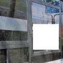 대반2리마을회관 | 경성주택단지-대반2리-대반4리-길음1리-당거사거리...입구-창내2리입구-(팽성대교)-진등마을-안정리...