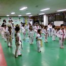 정의태권도체육관 이미지