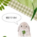 삼일집 | 광주 동명동 고기집 '삼일집' 솔직후기