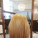헤어팔레트 이미지
