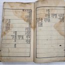 관음사의 왕벚나무자생지 | 소나무마을숲 / 괴산문법리느티나무마을숲 / 국립산악박물관_산경표/삼척지도 / 제주봉개최고령왕벚나무