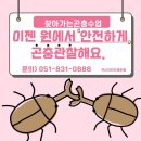 평산초등학교 병설유치원 이미지