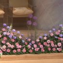 영신교회 이미지