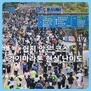 일왕삼거리 만석공원 | 2026 경기마라톤 코스 분석｜수원 풀·하프 난이도·교통통제·페이스메이커 총정리