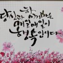 삼보기물
